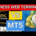 A comparison of MT4, MT5, and Exness Terminal trading interfaces