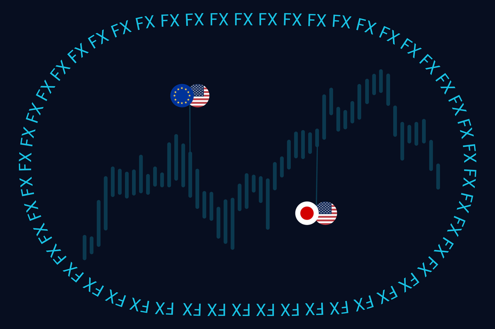 Exness provides market insights for beginner traders